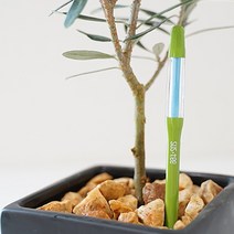 마이플랜트 SUSTEE 서스티 물주기 알리미 수분측정기, 본품M_화이트