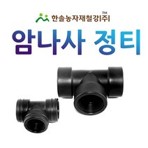 PE 암나사 정티/배관용 PE부속/농수관 수도관 관수자재/한솔농자재철강, 30mm(배관용), 1개