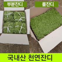 잔디30평 인기 순위비교