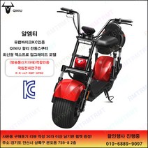 알엠티 유럽바이크 KC인증 QINIU할리 전동스쿠터 플러스 업그레이트 엑스프로, RED 레드