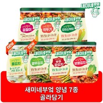 새미네부엌 김치양념 겉절이 오이소박이 깍두기 보쌈김치 신제품 열무김치 물김치 7종, 6개, 겉절이양념 90g