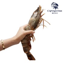 캡틴피쉬 자연산 프리미엄 킹타이거 왕새우(소/중/대), 대1미(180g~220g)