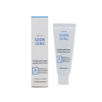 에뛰드 에뛰드하우스 순정 판텐소사이드 시카밤40ml 데이크림, 선택없음