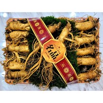 증평인삼 6년근 선물용 수삼판매 산지직송, 1, 상품옵션3/2채(1500g)