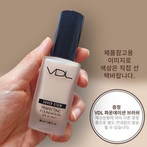 [본사정품] VDL 커버스테인 퍼펙팅 파운데이션 + 브러쉬, V01