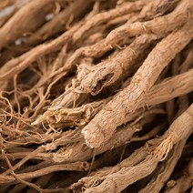 신토불이 국산 약초 속단(한속단) 600g, 14Q5_국산속단(한속단)600g