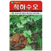 약초 적하수오 씨앗(50립)(A0533)
