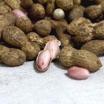 2023 국산 햇 예천땅콩 쪄먹는 피땅콩 생땅콩 흙땅콩 1kg-4kg, 1개, 피(흙)땅콩 1kg