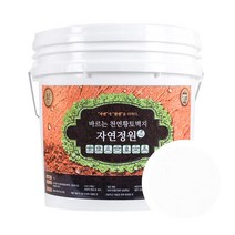바른황토 바르는 천연 황토 편백 벽지 페인트 자연정원, 화이트, 20kg
