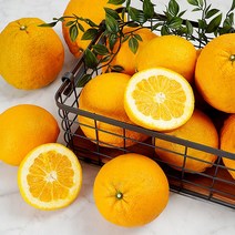 제주 뎅유지 5kg, 단품