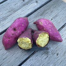 23년 목 매이는 퍽퍽한 햇 밤고구마 고구마, 밤고구마10kg(한입), 1개