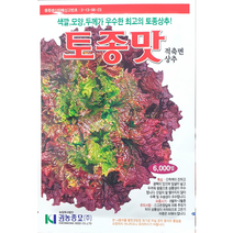 토종맛 상추씨앗6000립 권농종묘 색깔 모양 두께가 우수한 최고의 토종상추, 1개