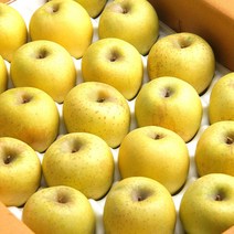 [엄지척농산물] 첫 출하! 경북 햇 시나노골드 황금사과, 1개, 시나노골드 3kg 중과(10-14)