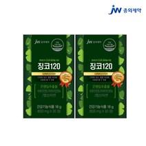 JW 중외제약 징코120 은행잎추출물 비타민E 비타민B6 엽산 아연, 600mg * 30정 2박스