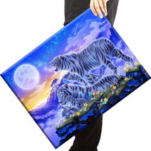 [당일 국내발송] 보석십자수 캔버스형 액자 세트 40x50cm, Q02모델