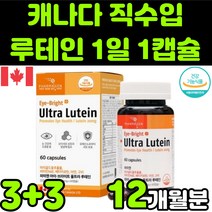 캐나다 뉴테인 루테린 LUTEIN 마리골드 메리골드 꽃 추출물 비타민 A E 베타카로틴 아연 직장인 청소년 50대 60대 부모님 눈 안구 건강 노안 노화 흐림 침침 영양제 추천, 6박스(12개월분)