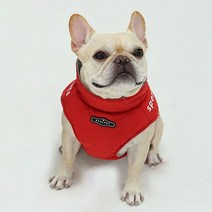 리얼펫 강아지 스포츠 숏 패딩 하네스, 레드