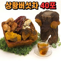 장수상왕버섯차 상환버섯 균사체 국내산 상황 버섯 차 100% 국산 상왕 버섯차 우려 마시는 부모님 어르신 시부모님 장인장모님 50대 60대 70대 80대 할머니 할아버지 명절 선물, 상황버섯차