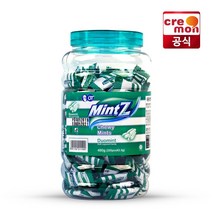 민트지 1+1 듀오민트 460g 2통, 2개