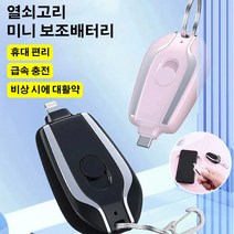 열쇠고리 미니 보조배터리 미니 휴대용 충전기 고속충전 배터리, 블랙 Lightning, 1개