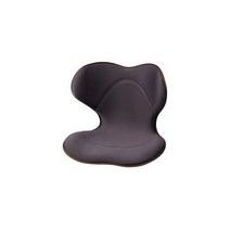 MTG Style 스타일 스마트 Style SMART 브라운 메이커 정품 골반 서포트 체어