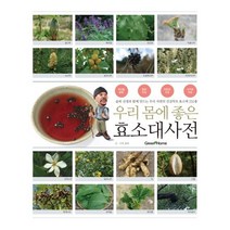 우리 몸에 좋은 효소대사전:솔뫼 선생과 함께 만드는 우리 자연의 건강약초 효소액 250종, 그린홈