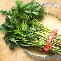 [4종]해남 고구마모종 3kg~5kg, 밤 모종, 5kg, 04/28출고(04/29도착)