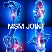 msm 2000ble 엠에스엠 관절케어 효능 부작용 죽생법 액티브 조인트 큐, 파마젠