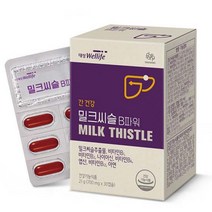 대상웰라이프 밀크씨슬 B파워 21g, 1개, 30정, 30정