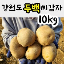 강원도 씨감자 두백 (쪄먹는용/튀김용) 10kg 분감자 감자씨 감자종자, 두백씨감자 10kg