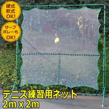 리바운드 넷 2 테니스 연습 훈련 트레이닝 테니스용품 테니스라켓, 알았습니다