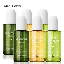 [KT알파쇼핑][1+1]메디플라워 대용량 유산균 앰플 50ml 3종 (사철쑥/청귤/비폴렌), 유산균 사철쑥 앰플 50ml+청귤 앰플 50ml