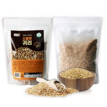 귀리효능 당뇨에좋은잡곡 귀리쌀효능 쌀귀리 볶은귀리 유기농귀리 국산귀리 잡곡밥 귀리밥 오곡밥, 국내산 네츄럴 스틸컷 귀리 600g