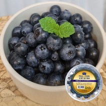 국산 유레카 블루베리 생과 생블루베리 100g, 2팩