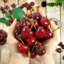 [항공직송]칠레산 고당도 생체리 5kg 큰사이즈(9.5row)