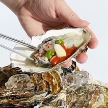 [맛통영] 통영 산지직송 제철 최상급 생굴 깐굴 굴 석화 각굴 하프셀 반각굴 1kg, 하프셀60미(전후)