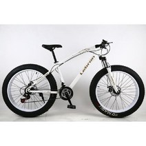 펫자전거 팻 바이크 광폭 성인 mtb, 21단, 24인치, 화이트