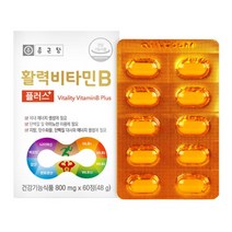 [ 비타민제 ] 종근당건강 활력 비타민B 플러스 800mg x 60정 활력 에너지 영양 보충 건강 마그네슘 블루베리 클로렐라 30 40 대 성인 남성 여성 식약처 인증 엘라스틴, 3박스 (42250원 할인)