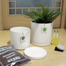 도희네화분 세라믹화분, 오색자갈