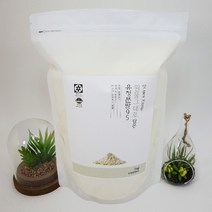 유청 분말 95 우유 단백질 영양보충 파우더 가루 1kg, 1팩, 유청분말
