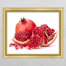 [바보사랑] 풍수싱그러운석류01_창문그림액자, 타입선택:E타입모던블랙