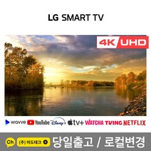 LG 65인치 4K 스마트 UHD TV 65UM6900 초고화질, 0. 매장방문수령