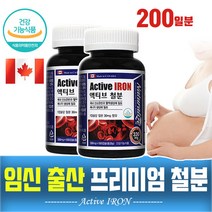 철분 임신초기 임신준비 임신전 영양제 여성 변비없는 빈혈 모유수유 빈혈에좋은 철분제 iron tablets, 2통, 100일복용
