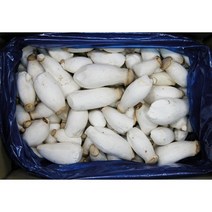미니 새송이 버섯 꼬마 2Kg