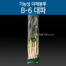 기능성 포장 야채봉투 대파봉투 B-6 200장