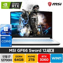 MSI Sword GF66 A12UE 인텔 12세대 i7-12700H RTX3060 윈도우11 배그 주식 고성능 게이밍 노트북, GF66 Sword, WIN11 Home, 64GB, 2TB, 코어i7, 화이트