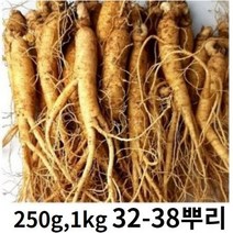 실속형 실속형인삼 국내산 인삼 250g 750g 1kg 옵션선택 (믹서용 홍삼용 실속인삼), 실속인삼 250g (10-12뿌리)