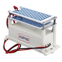 공기청정기 미니 펫 원룸 휴대용 220v 60gh 공기 청정기 오존 발생기 110v 홈, 220v 10g