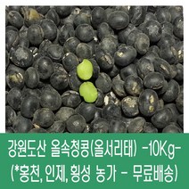 [다온농산] 2022년산 강원도산 햇 올속청콩/올서리태 -10Kg- 강원도 홍천농가