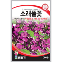 소래풀